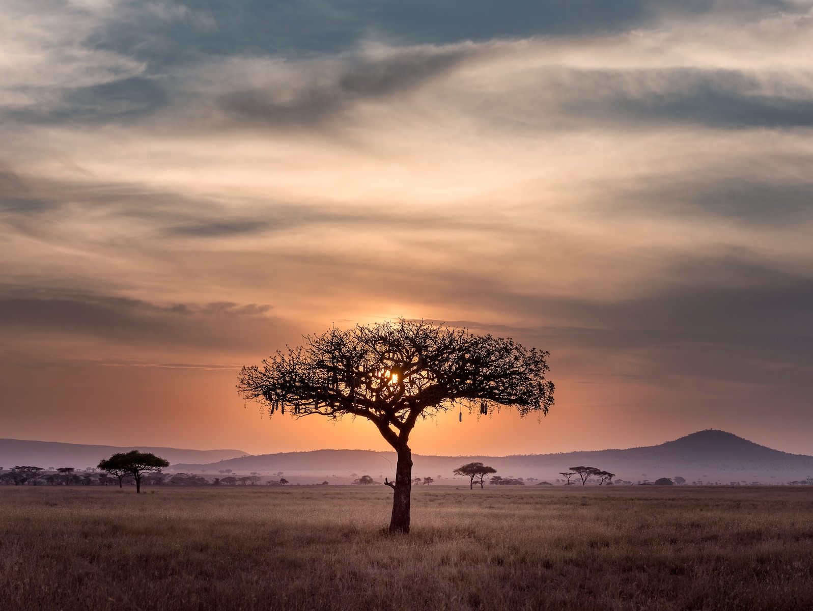 Tantalizing Tanzania: Discovering Quirks that'll Leave You Wide-eyed!