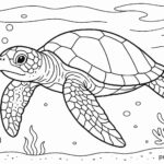 Free coloring sheets for kids, Printable Coloring Pages for Kids, Cute Coloring Pages For Kids, Online coloring pages for kids, Free printable coloring page templates to customize, Free Printable Season Coloring Pages & Sheets,Coloring sheets for kids Fruits,Simple coloring pages for kids,Girl coloring sheets for kids,Coloring pages for girls,Free coloring pages for adults,Boy coloring sheets for kids,Coloring sheets for kids online,Coloring sheets For Kids a4 size,coloring pages for kids, color pages,Free coloring pages,colouring pages,Free coloring paper,coloring pictures,Free coloring sheets,colouring sheets,coloring pages printable,printable color pages,printable coloring pages,printable colouring pages,coloring designs,coloring worksheet,easy coloring pages,easy colouring pages,simple coloring pages,easy coloring pictures,easy colouring pictures,easy pictures to color,printable easy simple coloring pages,