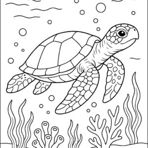Free coloring sheets for kids, Printable Coloring Pages for Kids, Cute Coloring Pages For Kids, Online coloring pages for kids, Free printable coloring page templates to customize, Free Printable Season Coloring Pages & Sheets,Coloring sheets for kids Fruits,Simple coloring pages for kids,Girl coloring sheets for kids,Coloring pages for girls,Free coloring pages for adults,Boy coloring sheets for kids,Coloring sheets for kids online,Coloring sheets For Kids a4 size,coloring pages for kids, color pages,Free coloring pages,colouring pages,Free coloring paper,coloring pictures,Free coloring sheets,colouring sheets,coloring pages printable,printable color pages,printable coloring pages,printable colouring pages,coloring designs,coloring worksheet,easy coloring pages,easy colouring pages,simple coloring pages,easy coloring pictures,easy colouring pictures,easy pictures to color,printable easy simple coloring pages,