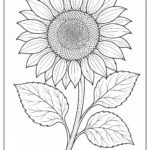 Floral coloring pages