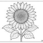 Floral coloring pages