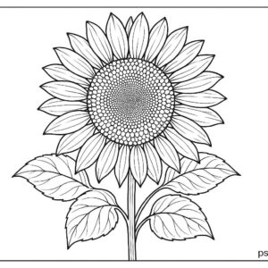 Floral coloring pages