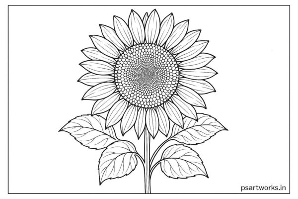 Floral coloring pages