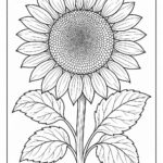 Floral coloring pages