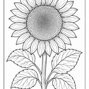 Floral coloring pages