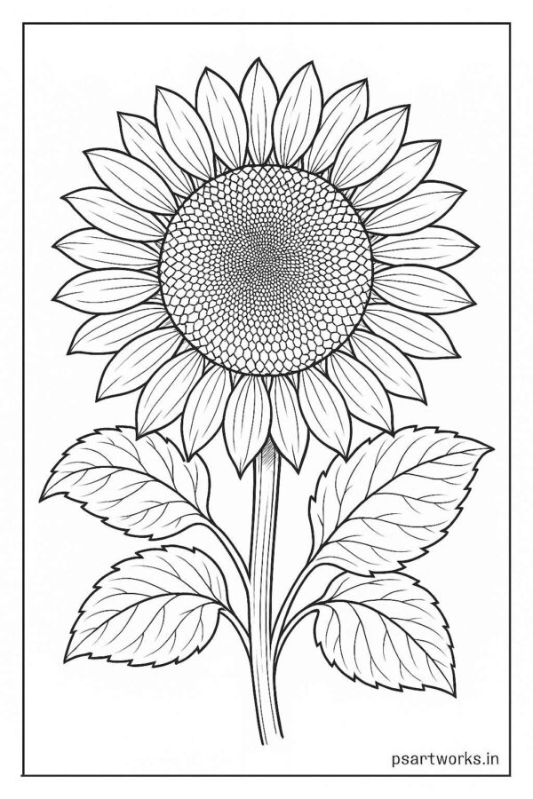 Floral coloring pages
