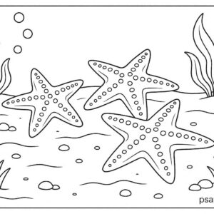 Sea Animal Coloring Pages For Kids