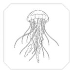 Sea Animal Coloring Pages For Kids