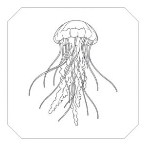 Sea Animal Coloring Pages For Kids