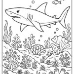 Sea Animal Coloring Pages For Kids