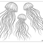 Sea Animal Coloring Pages For Kids