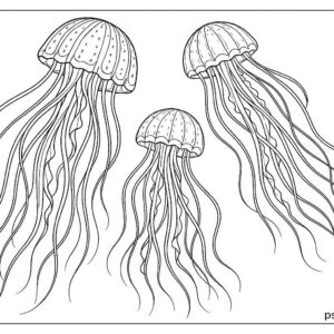 Sea Animal Coloring Pages For Kids