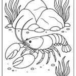Sea Animal Coloring Pages For Kids