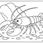 Sea Animal Coloring Pages For Kids