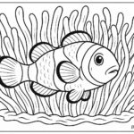Sea Animal Coloring Pages For Kids