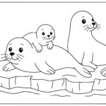 Sea Animal Coloring Pages For Kids