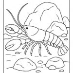 Sea Animal Coloring Pages For Kids