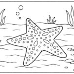 Sea Animal Coloring Pages For Kids