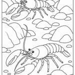 Sea Animal Coloring Pages For Kids