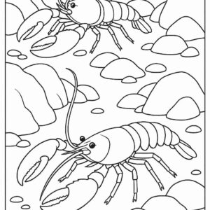 Sea Animal Coloring Pages For Kids