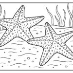Sea Animal Coloring Pages For Kids
