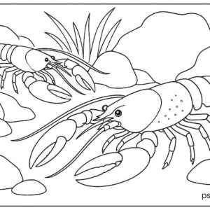 Sea Animal Coloring Pages For Kids