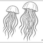 Sea Animal Coloring Pages For Kids