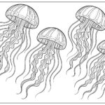 Sea Animal Coloring Pages For Kids