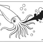 Sea Animal Coloring Pages For Kids