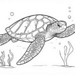 Sea Animal Coloring Pages For Kids