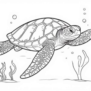 Sea Animal Coloring Pages For Kids