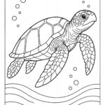Sea Animal Coloring Pages For Kids