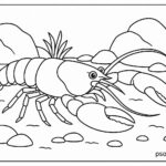 Sea Animal Coloring Pages For Kids