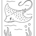 Sea Animal Coloring Pages For Kids