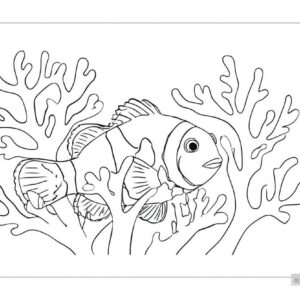 Sea Animal Coloring Pages For Kids