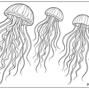 Sea Animal Coloring Pages For Kids