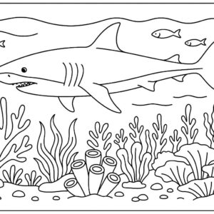 Sea Animal Coloring Pages For Kids