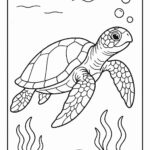 Sea Animal Coloring Pages For Kids