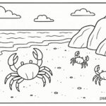 Sea Animal Coloring Pages For Kids