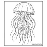 Animal Coloring Pages For Kids