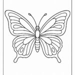Butterfly Colouring Page