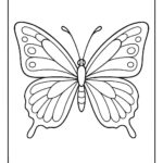 Butterfly Colouring Page