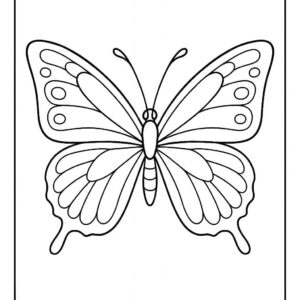 Butterfly Colouring Page