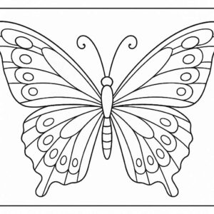 Butterfly Colouring Page