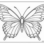 Butterfly Colouring Page