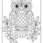 Owl Colouring Page