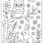 Owl Colouring Page