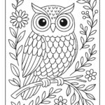 Owl Colouring Page