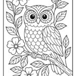 Owl Colouring Page
