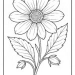 Floral Colouring Page